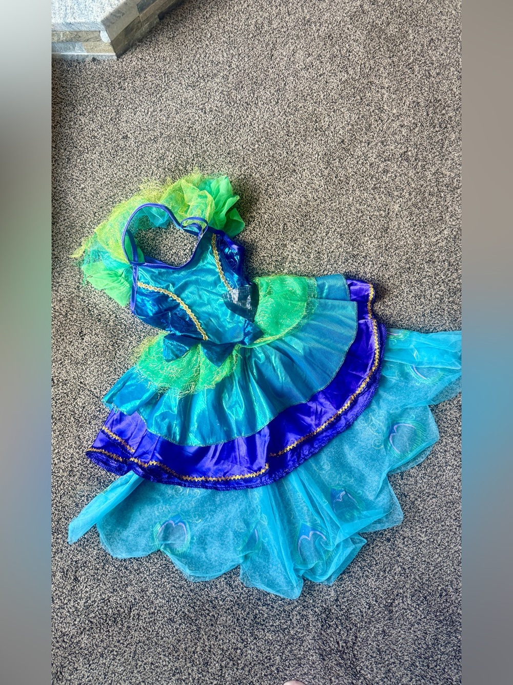 Girls Peacock Tulle Costume Dress